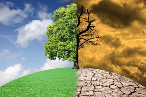 100 Nations Unite to Protect Global Health from Climate Change, Says WHO