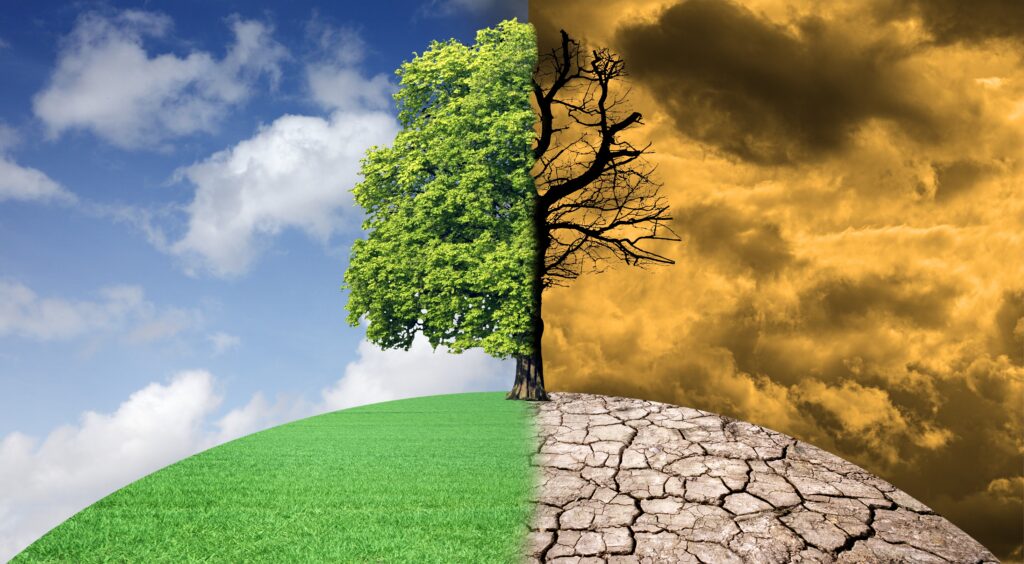 100 Nations Unite to Protect Global Health from Climate Change, Says WHO