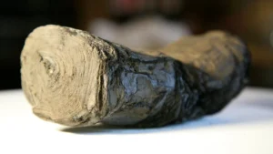 AI Virtually Unravels Herculaneum Scroll — First Words Decoded After 2,000 Years