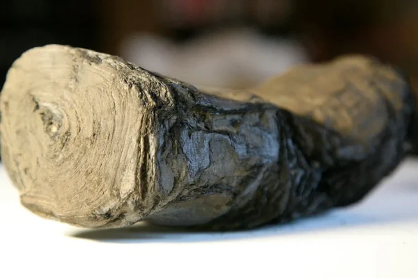 AI Virtually Unravels Herculaneum Scroll — First Words Decoded After 2,000 Years