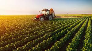 Global Agriculture Spending Hits Record $701 Billion, But Efficiency Slips – FAO