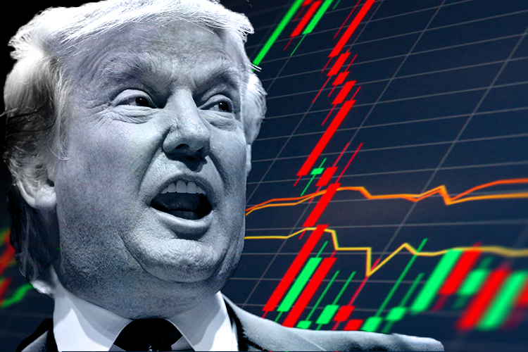 Trump Signals Shift in Cannabis Policy, Sends Stocks Soaring