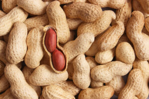 Peanut Allergy Research Signals Shifts in Prevention and Adult Treatment