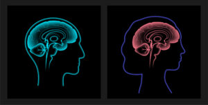 New Study Finds Men’s Brains Shrink Faster with Age Than Women’s