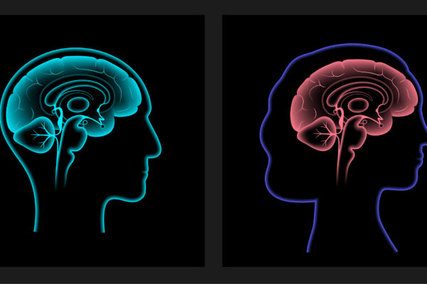 New Study Finds Men’s Brains Shrink Faster with Age Than Women’s