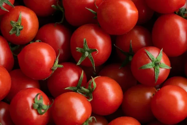 Sicilian Tomatoes Suspected as Source of Major Salmonella Outbreak Across Europe