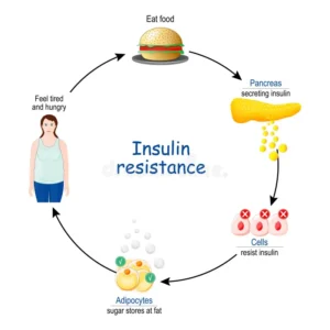 New Breakthrough: Gut Molecule TMA Identified as Surprising Ally in Reducing Insulin Resistance