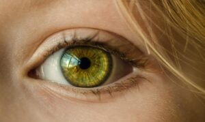 Top Vitamins That Protect Your Eyes and Prevent Vision Loss Naturally
