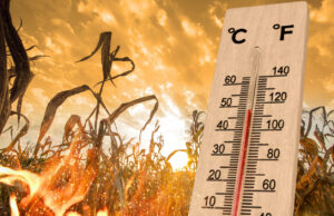 Warming Trend Expected for Eastern United States During Mid-February