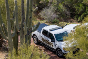 Charlotte Hornets Star LaMelo Ball Safe After Uptown Vehicle Collision