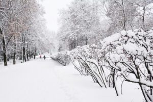 Historic Bomb Cyclone Blasts Southeast With Record Snow and Blizzard Winds