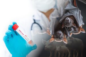 Nipah Virus Outbreak in India: Health Experts Monitor Deadly Pathogen in Kerala