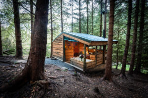Off-Grid Cabin Retreat in Scottish Borders Offers Remote Escape Near Hawick