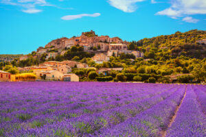 Provence Perfume Road Trip: Explore South France via Iconic Flower Festivals