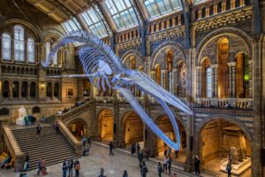 The Ultimate Global Culture Guide: Top Museums to Visit in Your Lifetime