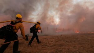 Rapidly Expanding Wildfire Force Authorities to Close Interstate 75 as Extreme Drought Grips Southern Florida