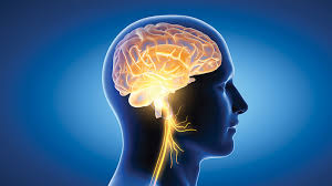 New Organization Dedicated to Lifelong Cognitive Optimization and Brain Health Standards