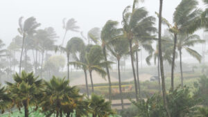 Storm Penha Hits Southern Philippines: Deaths and Displacement Rise