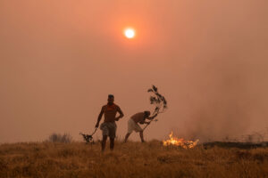 Climate Stress Hits Indian Harvest: Scorching March Threatens Record Wheat Yields