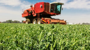 Syngenta Selects United Kingdom for Major Global Bioscience Innovation Center