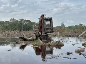 Hawaii Kona low flooding