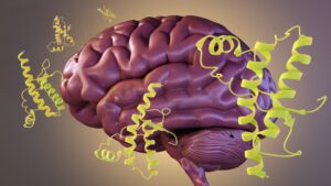 Neuroscience Breakthrough: Parkinson’s Protein Linked to Accelerated Alzheimer’s Decline