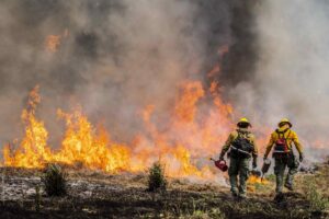 Rapid Fire Expansion Forces Evacuations in South Dakota’s Black Hills Region