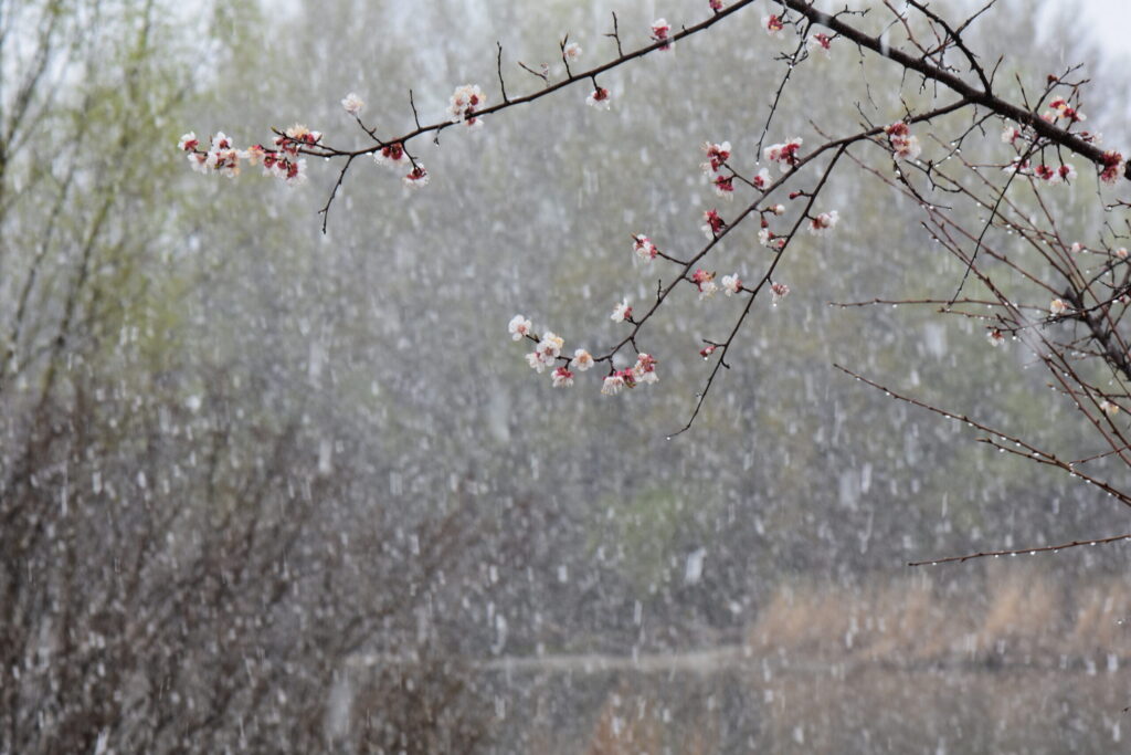 Spring Severe Weather Season Ignites Across Central US With Major Flooding Risks