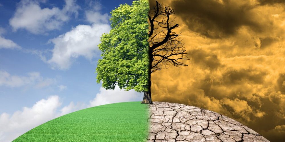 100 Nations Unite to Protect Global Health from Climate Change, Says WHO