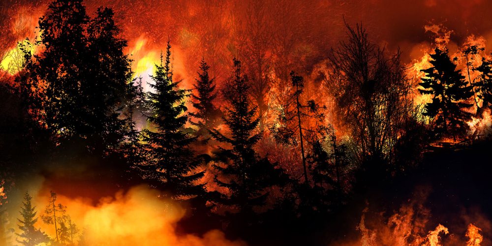 Weather Pattern Shift Offers Critical Reprieve for Wildfire-Threatened Plains