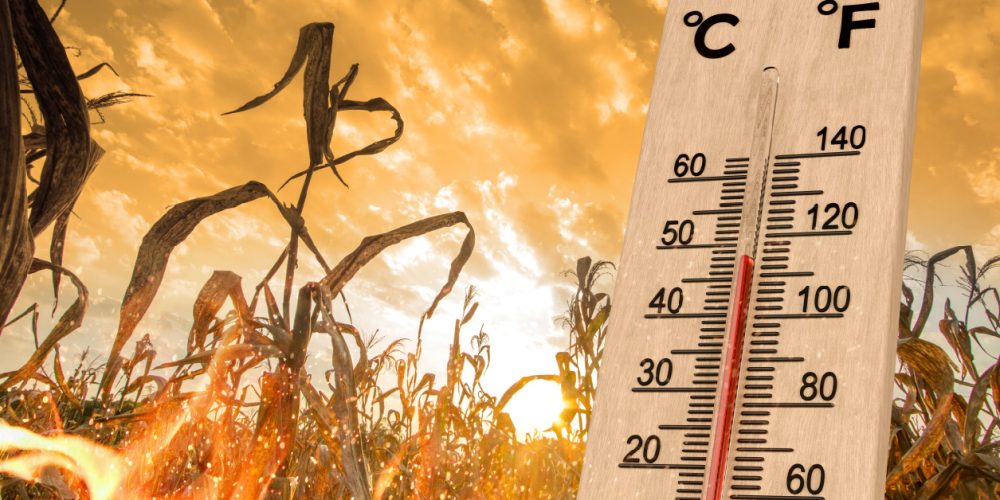 Warming Trend Expected for Eastern United States During Mid-February