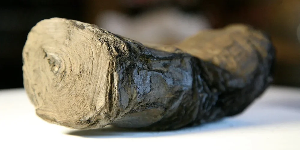 AI Virtually Unravels Herculaneum Scroll — First Words Decoded After 2,000 Years