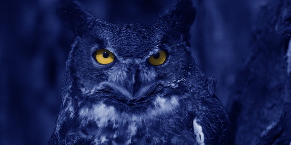 Blue Owl Fund U-Turn Exposes Risks of Semi-Liquid Private Credit for Retail Investors