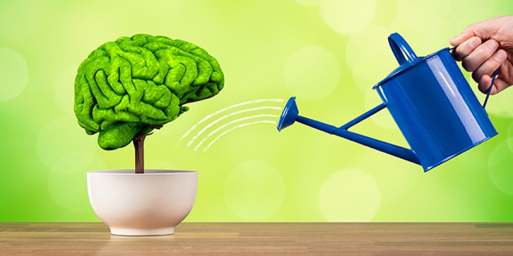 Experts Caution Against Unproven Chemicals for Brain and Body Wellness