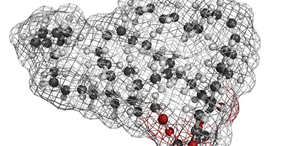 Breakthrough Discovery: Beige Fat Plays Critical Role in Regulating Blood Pressure