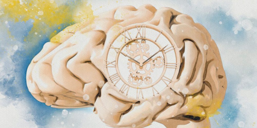 Caloric Restriction Linked to Slower Brain Aging in Long-Term Animal Study