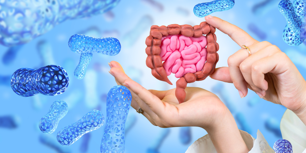 Common Prescription Drugs Found to Disrupt Gut Microbiome for Years