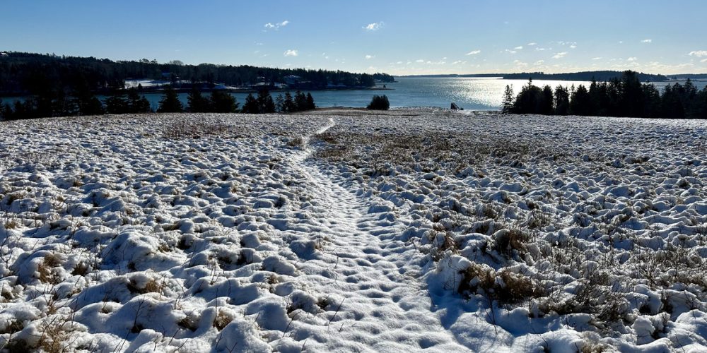 Frost Quakes Shake US Midwest as Arctic Temperatures Trigger Rare Cryoseisms
