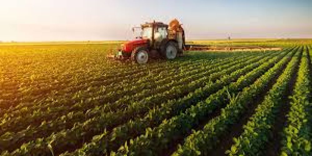 Global Agriculture Spending Hits Record $701 Billion, But Efficiency Slips – FAO