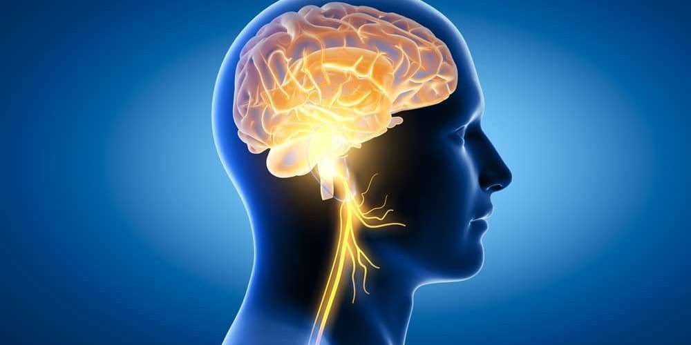 WHO: 11 million die yearly from neurological disorders; most nations unprepared.