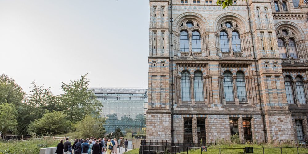 London’s Hidden Prehistory: New Urban Geology Tours Reveal Fossils and Ancient Stones