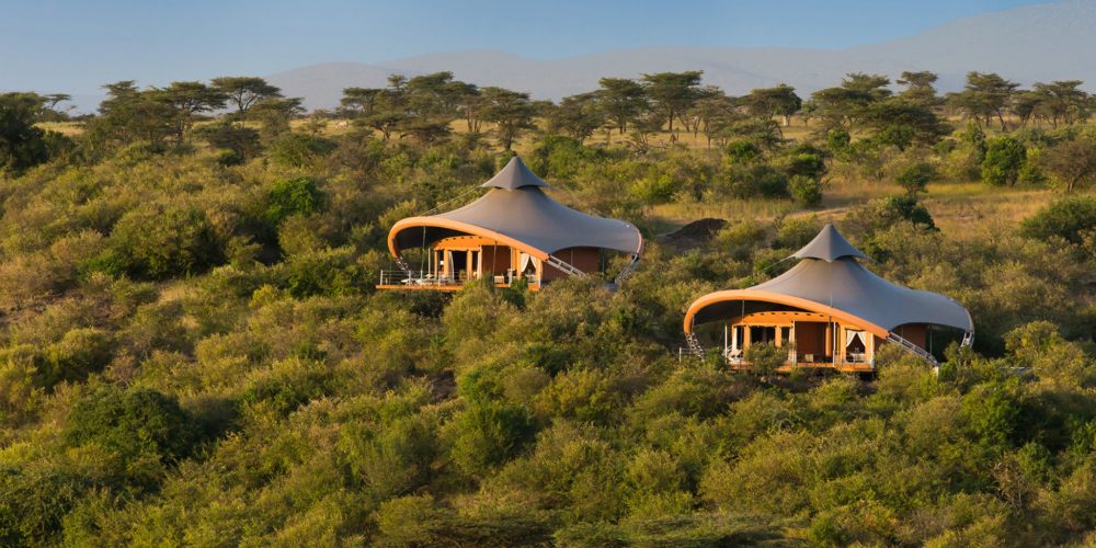 Luxury Eco-Camps in Masai Mara Stir Conservation Debate: Crowds, Community and Wildlife Impact