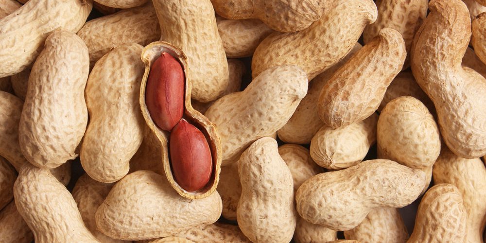 Peanut Allergy Research Signals Shifts in Prevention and Adult Treatment