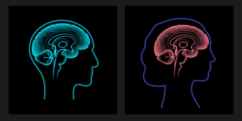New Study Finds Men’s Brains Shrink Faster with Age Than Women’s