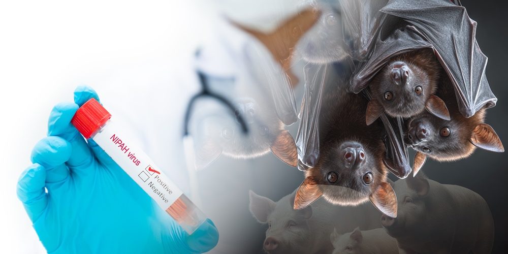 Nipah Virus Outbreak in India: Health Experts Monitor Deadly Pathogen in Kerala