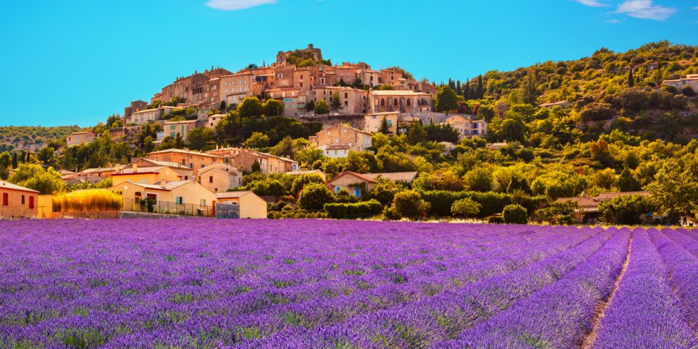 Provence Perfume Road Trip: Explore South France via Iconic Flower Festivals