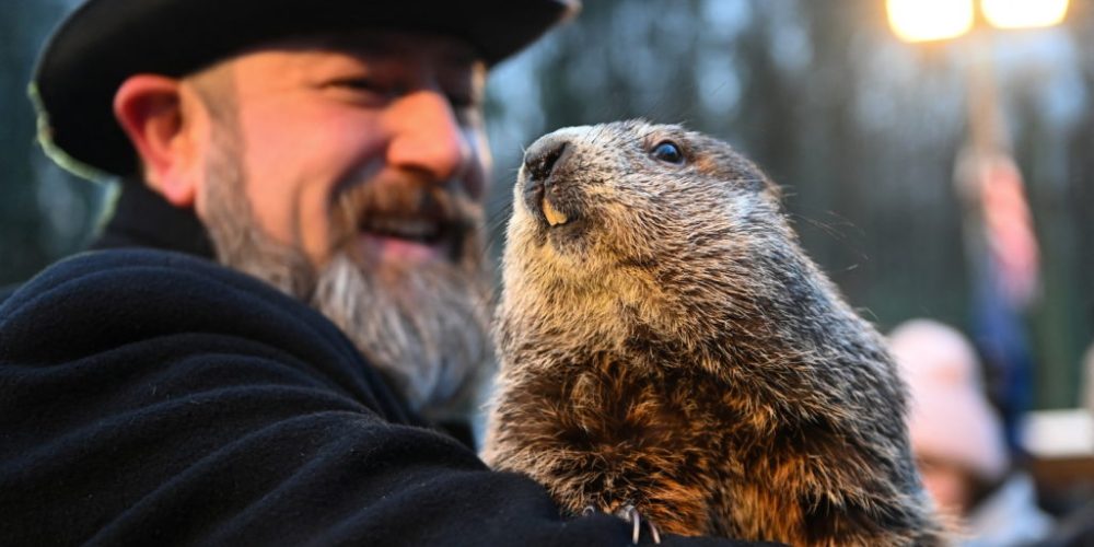 Punxsutawney Phil Sees Shadow in 2026: Expect Six More Weeks of Winter