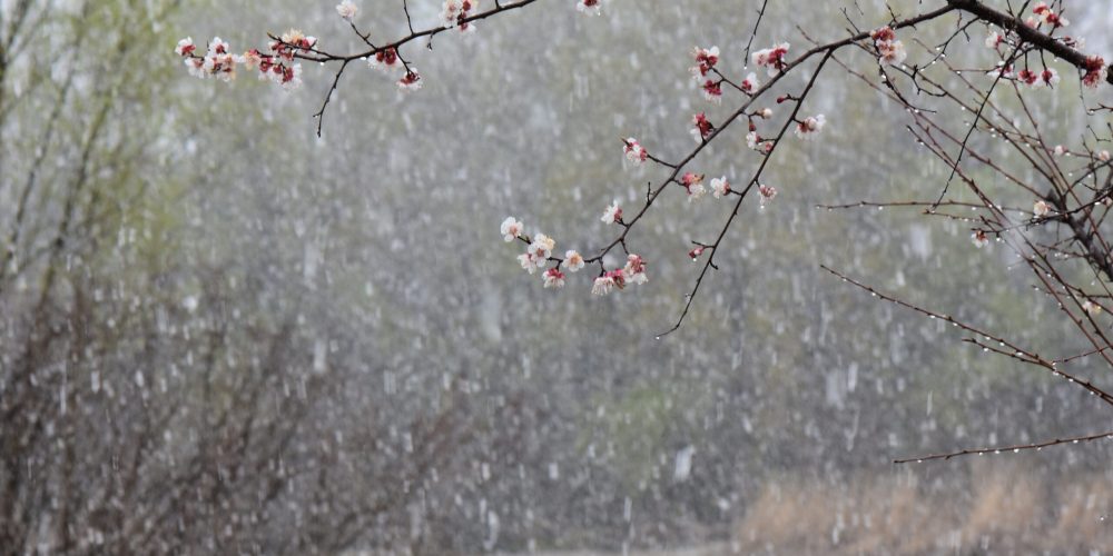 Spring Severe Weather Season Ignites Across Central US With Major Flooding Risks