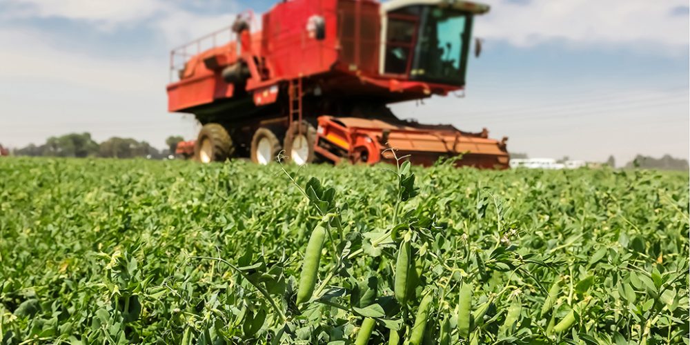 Syngenta Selects United Kingdom for Major Global Bioscience Innovation Center