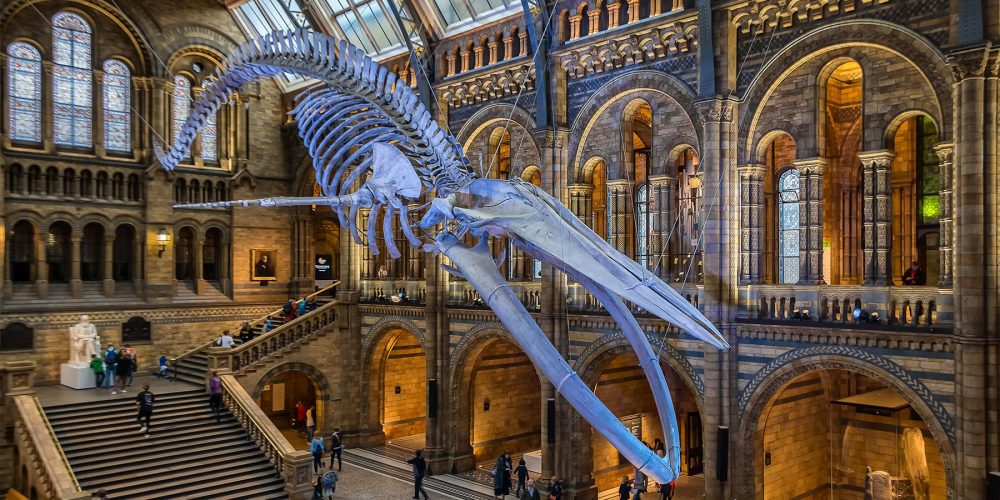 The Ultimate Global Culture Guide: Top Museums to Visit in Your Lifetime